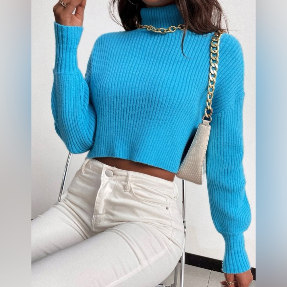 Turtle Neck Crop Sweater w/o necklace